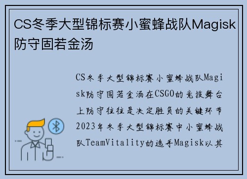 CS冬季大型锦标赛小蜜蜂战队Magisk防守固若金汤