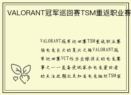 VALORANT冠军巡回赛TSM重返职业赛场